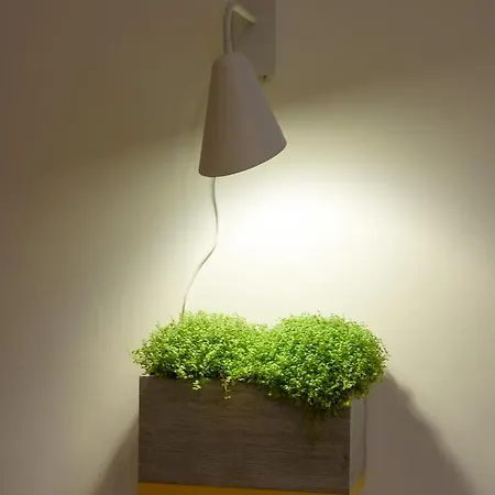 Red And Yellow Modern