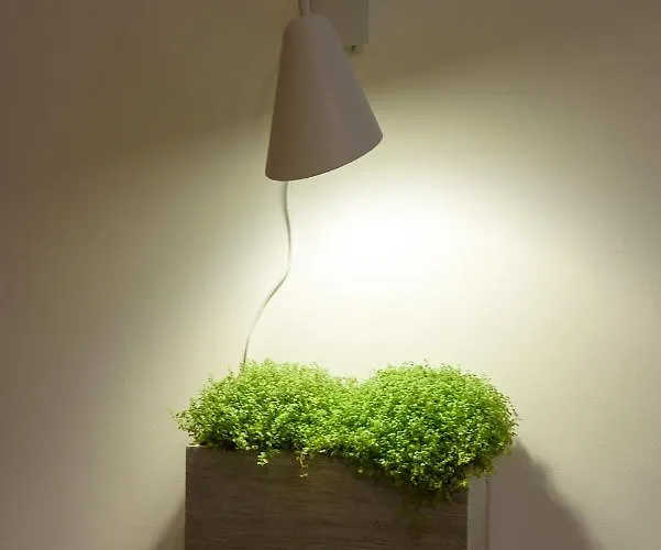 Red And Yellow Modern